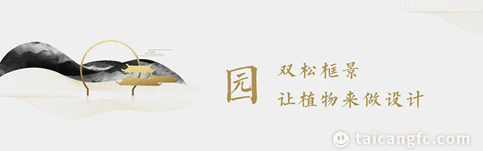 1594689924108498.png 11.png