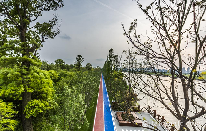 1637564556161022.png 图片6.png