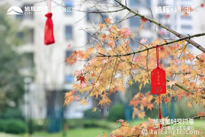 1670812022119763.jpeg 微信图片_20221212093743.jpg