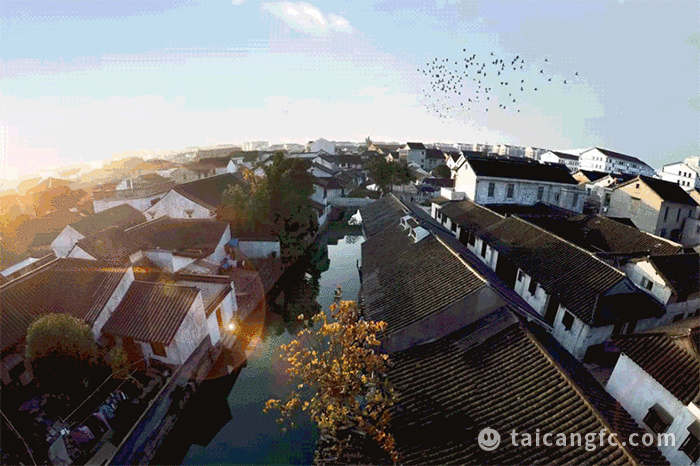 微信图片_20230116085157.gif