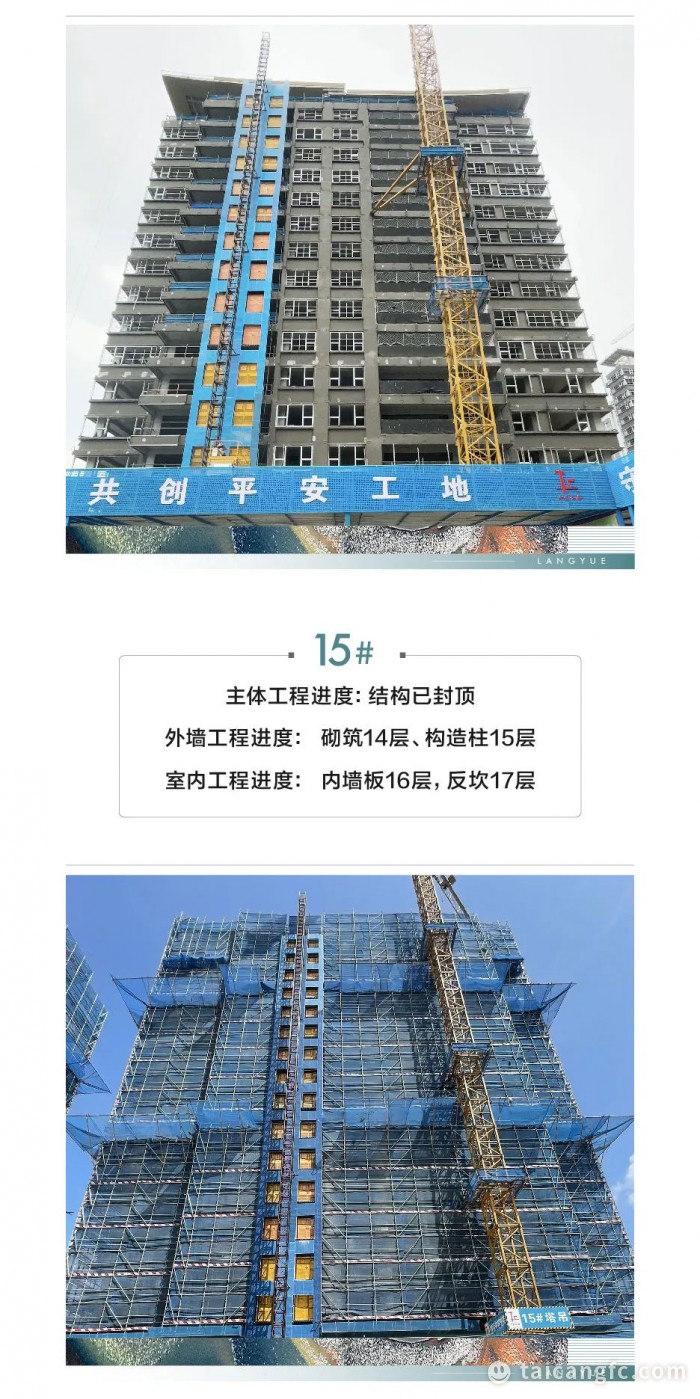 c9551a2478d1d6a55b35e09f2314874c.jpg
