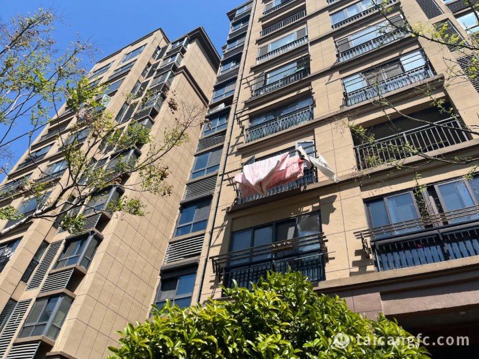 1744956843807891.jpeg 4ea78ad48eb92d636c3ffe9e5a25eb32.jpg